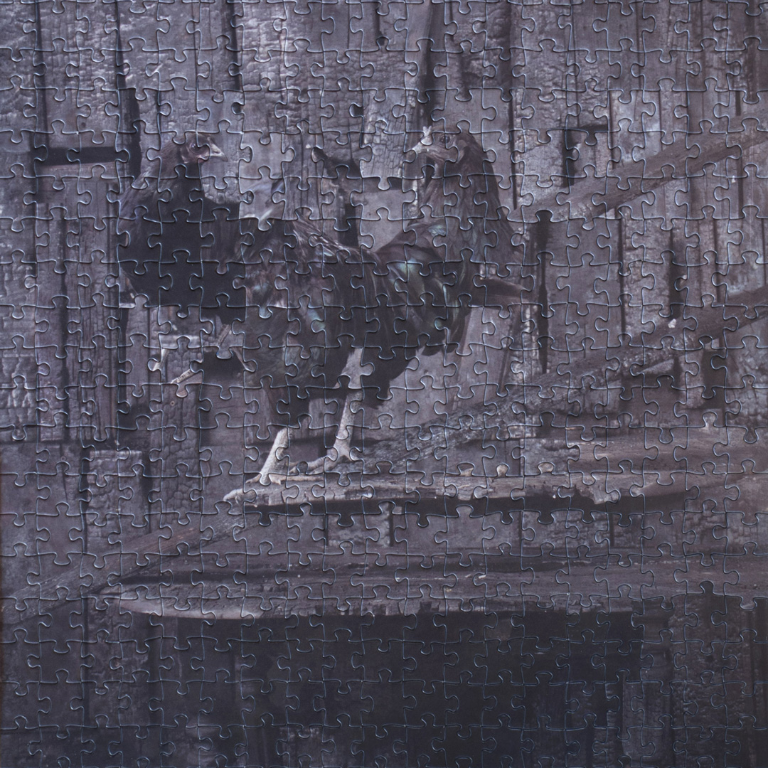 Apoline Grivelet, Eumélanine : F2, série de 4 œuvres, tirages photos sur puzzles, puzzles hybridés, 2020 (FACAC). Tenderfluid #1 _ Honky Tonk Fields _ Comissaires d'exposition : Collectif Enoki & Pascal Mouisset_ EXPOSITION : 6 – 18 JUILLET 2021 _ ESPACE VOLTAIRE : 75011 Paris _ avec le soutien de Plateau Urbain et de la DRAC Île-de-France dans le cadre l’Été Culturel. #tenderfluid #honkytonkfields