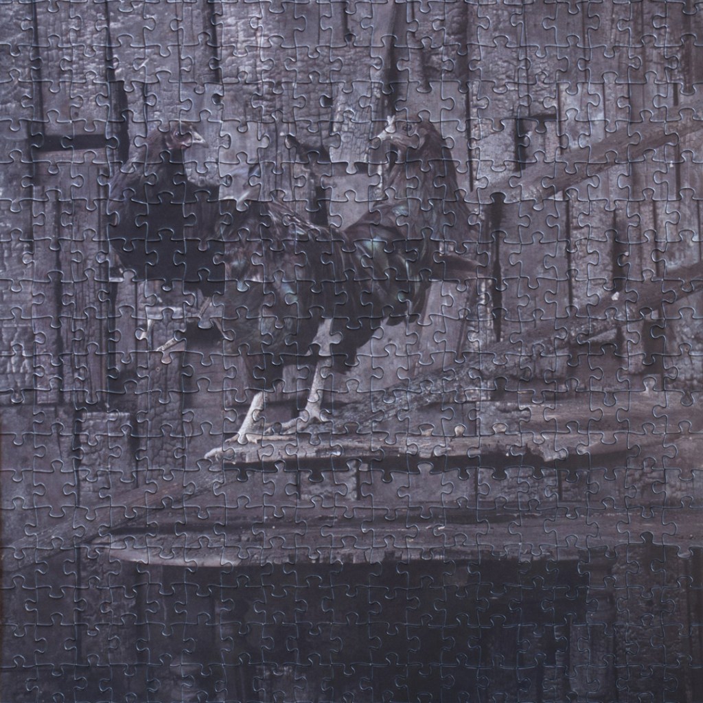 Apoline Grivelet, Eumélanine : F2, série de 4 œuvres, tirages photos sur puzzles, puzzles hybridés, 2020 (FACAC). Tenderfluid #1 _ Honky Tonk Fields _ Comissaires d'exposition : Collectif Enoki & Pascal Mouisset_ EXPOSITION : 6 – 18 JUILLET 2021 _ ESPACE VOLTAIRE : 75011 Paris _ avec le soutien de Plateau Urbain et de la DRAC Île-de-France dans le cadre l’Été Culturel. #tenderfluid #honkytonkfields