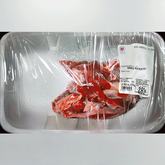 Aranthell, 0,258 kg et 0,522 kg, Huiles sur toile, 2019. Tenderfluid #1 _ Honky Tonk Fields _ Comissaires d'exposition : Collectif Enoki + Pascal Mouisset_ EXPOSITION : 6 – 18 JUILLET 2021 _ ESPACE VOLTAIRE : 75011 Paris _ avec le soutien de Plateau Urbain et de la DRAC Île-de-France dans le cadre l’Été Culturel. #tenderfluid #honkytonkfields