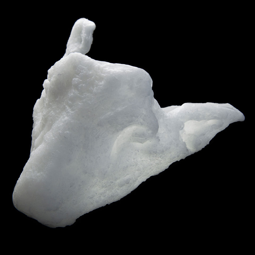 Tête de mouton, estampage, paraffine, Tenderfluid#1, sculpture, photographie, fantasme, domestication, animal, codes dominants, boulverser, animaux, bicéphals, ordre, chaos, Honky Tonk Fields , #tenderfluid, HTF, #honkytonkfields