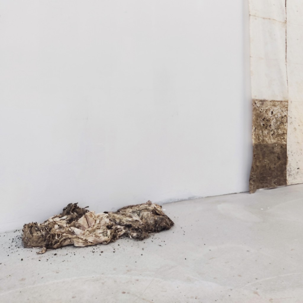 Jade tang, Caresser l’histoire, documentation, photos. de terrain, depuis 2019, aménagement urbain, recherches de terrain, productions plastiques, matière à l’œuvre, changement d’état, sculpture, renouvellement, espaces habités, transformations, vivant, végétaux, réalisations plastiques, photographie