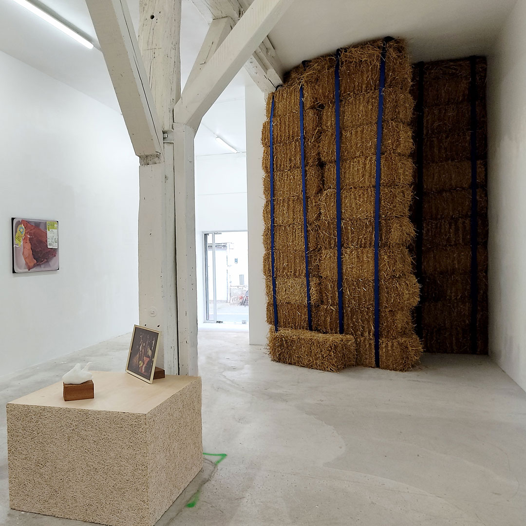 Justin Meekel, FIGUE, Film, 25’, 2019. Tenderfluid #1 _ Honky Tonk Fields _ Comissaires d'exposition : Collectif Enoki + Pascal Mouisset_ EXPOSITION : 6 – 18 JUILLET 2021 _ ESPACE VOLTAIRE : 75011 Paris _ avec le soutien de Plateau Urbain et de la DRAC Île-de-France dans le cadre l’Été Culturel. #tenderfluid #honkytonkfields