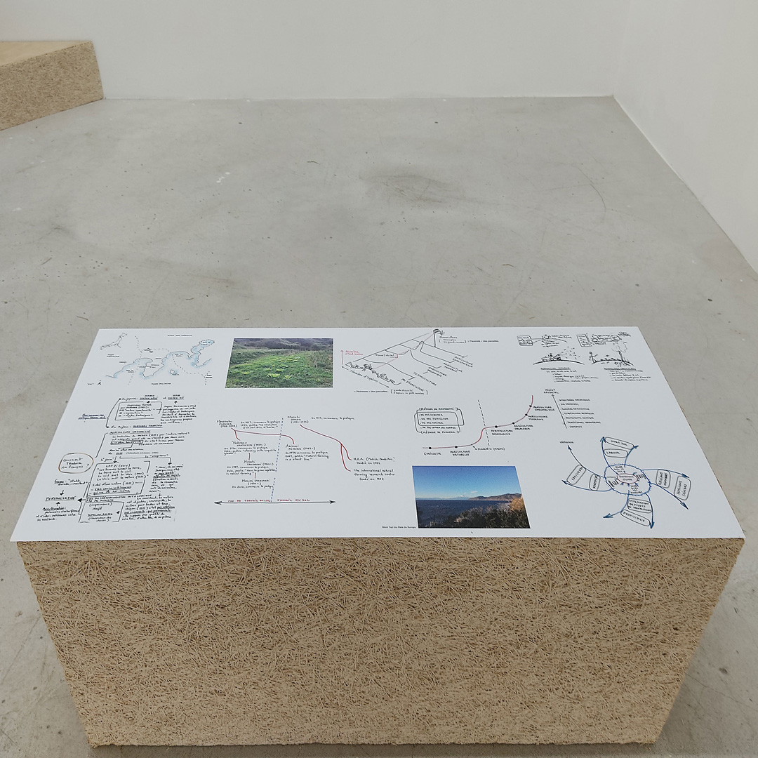 Yoann Moreau et Masumi Oyadomari, Chevaucher le lombric, inférences rythmiques entre les vivants au Japon, texte, 2020, (FACAC). Tenderfluid #1 _ Honky Tonk Fields _ Comissaires d'exposition : Collectif Enoki + Pascal Mouisset_ EXPOSITION : 6 – 18 JUILLET 2021 _ ESPACE VOLTAIRE : 75011 Paris _ avec le soutien de Plateau Urbain et de la DRAC Île-de-France dans le cadre l’Été Culturel. #tenderfluid #honkytonkfields