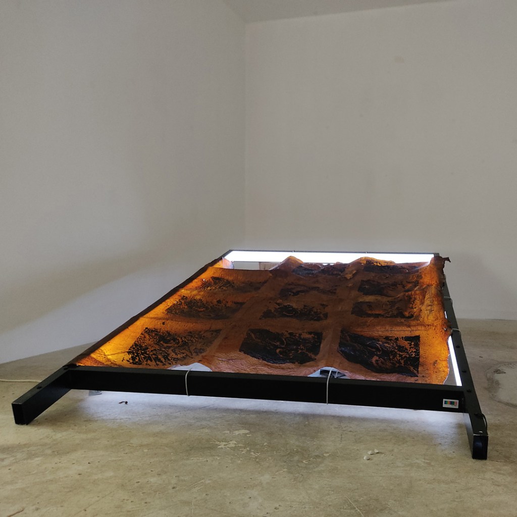 Thr34d5, Micro/macro scopie, sérigraphie sur kombucha, 2021, collectif artistique, installation, le vivant, religion, art, science, microscopique, macroscopique, protocole,